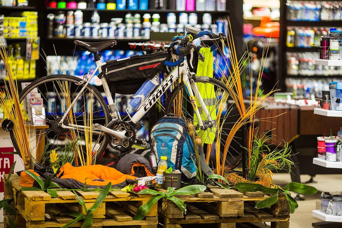 Будущее Будущее