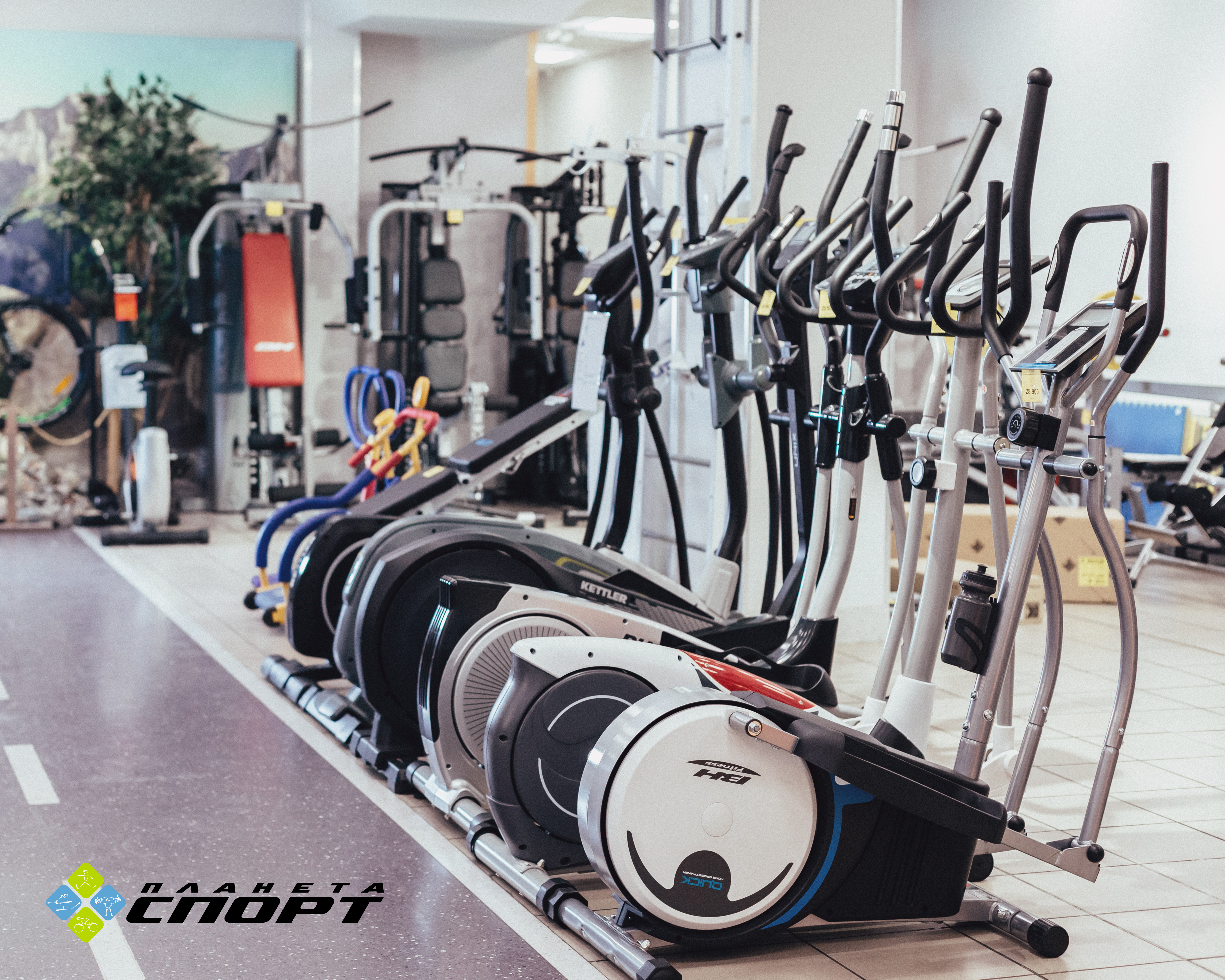 Гонять или кататься: выбери тренажёр по душе Гонять или кататься: выбери тренажёр по душе